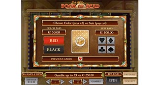 Gamble feature at Book of Dead