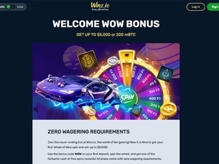Winz Casino – The best No Wagering Casino 2023